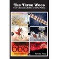 thumbnail image 1 of The Three Woes: A Guide to Understanding Revelation and End Time Prophecies, (Paperback), 1 of 1
