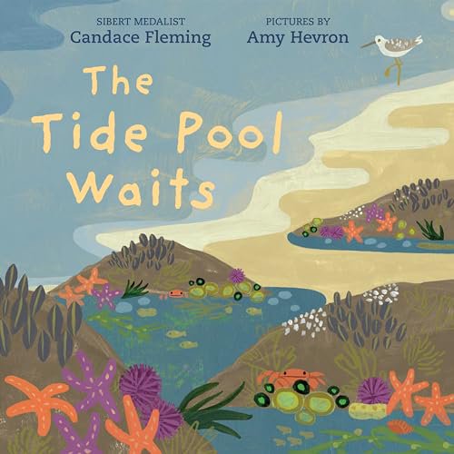 Pre-Owned The Tide Pool Waits (Hardcover) 0823449157 9780823449156