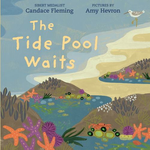 The Tide Pool Waits Binding: Paperback