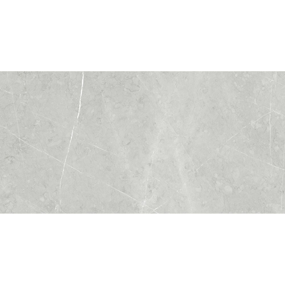 The Tile Life Alastair Silver Porcelain Floor and Wall Tile, 24" x 48", 2-Piece