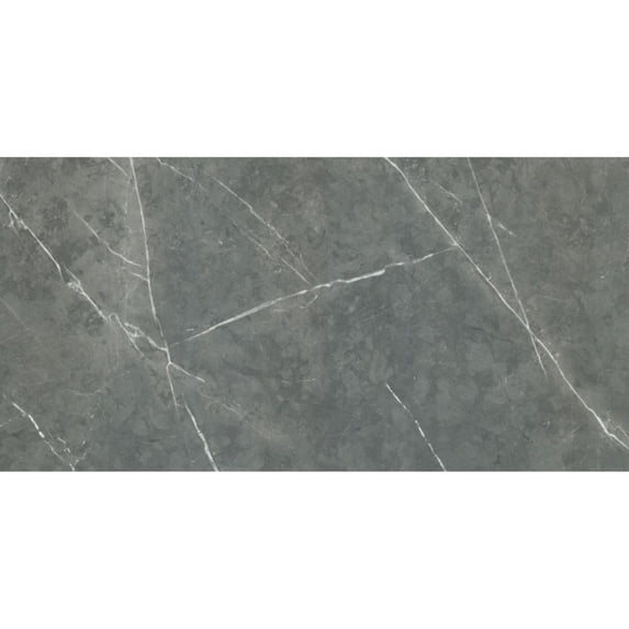 The Tile Life Alastair Gray Polished Porcelain Floor & Wall Tile, 4 x 4 in, 1-Piece Sample
