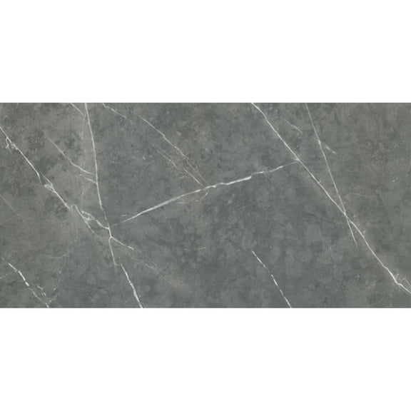 The Tile Life Alastair Gray Polished Porcelain Floor & Wall Tile, 4 x 4 in, 1-Piece Sample