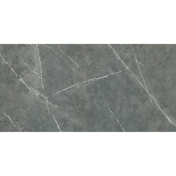 The Tile Life Alastair Gray Polished Porcelain Floor & Wall Tile, 24 x 48 in, 2-Piece, Marble Look
