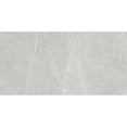 thumbnail image 1 of The Tile Life Alastair Silver Polished Porcelain Floor & Wall Tile, 4 x 4 in, 1-Piece Sample, 1 of 5