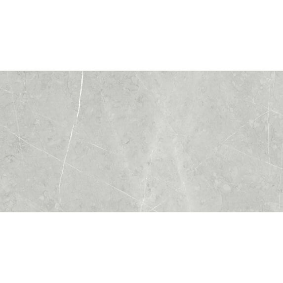The Tile Life Alastair Silver Polished Porcelain Floor & Wall Tile, 4 x 4 in, 1-Piece Sample