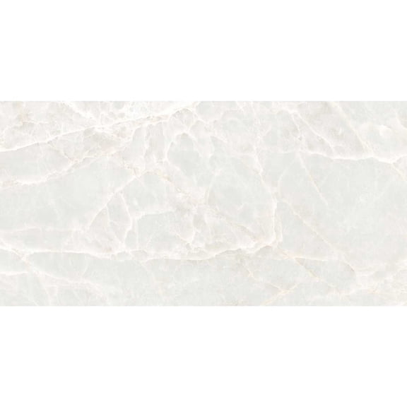 The Tile Life Botticino 4" x 4" White Polished Porcelain Tile Sample, 1 Piece