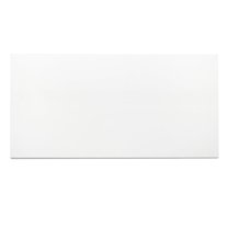 The Tile Life Brighten Super White Polished Porcelain Floor & Wall Tile, 24 x 48 in, 2-Piece
