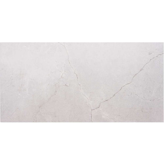 The Tile Life Bushwick Gray Matte Porcelain Floor and Wall Tile 4x4 in Sample 1-Piece