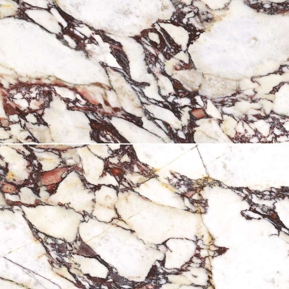 The Tile Life Cala Rosso 4" x 4" Viola Glossy Porcelain Tile Sample, 1 Piece