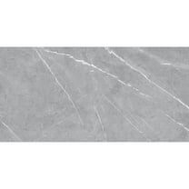 The Tile Life Chaplin Gray Matte Porcelain Floor & Wall Tile, 12x24 in, 8-Piece