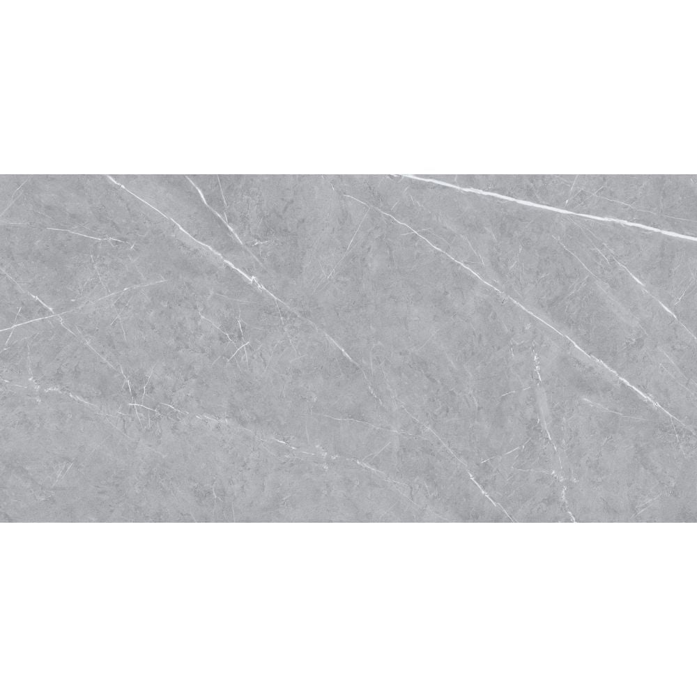 The Tile Life Chaplin Gray Matte Porcelain Floor & Wall Tile, 24x48 in, 2-Piece