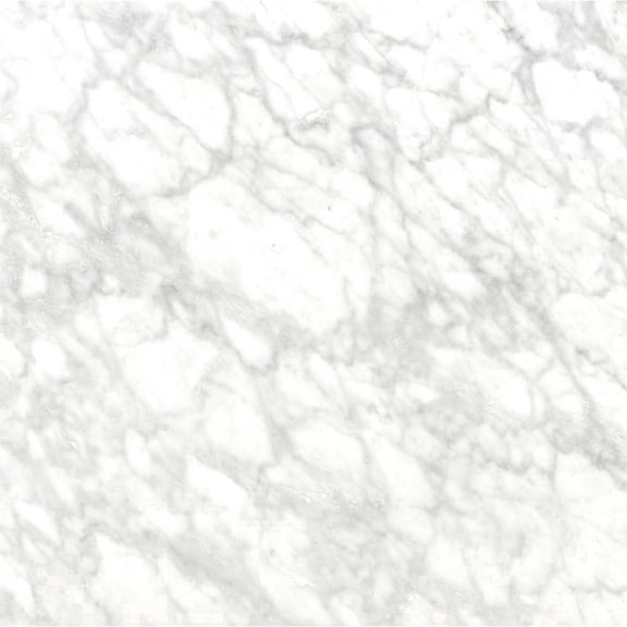 The Tile Life Checkmate 4" x 4" Carrara Honed Italian Marble Tile Sample 1 Piece