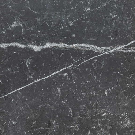 The Tile Life Checkmate 4" x 4" Nero Marquina Honed Italian Marble Tile Sample 1 Piece
