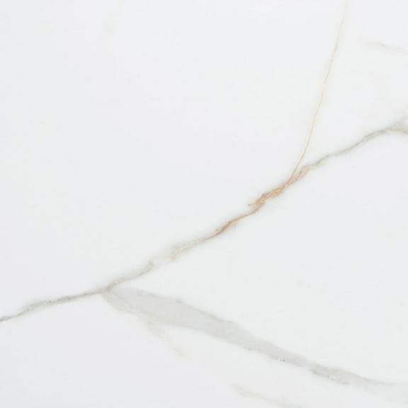 The Tile Life Chronos White/ Gold Matte Porcelain Floor & Wall Tile, 4 x 4 in, 1-Piece Sample