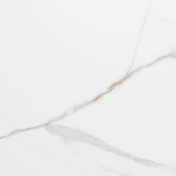 The Tile Life Chronos White/ Gold Matte Porcelain Floor & Wall Tile, 13 x 13 in, 12-Piece