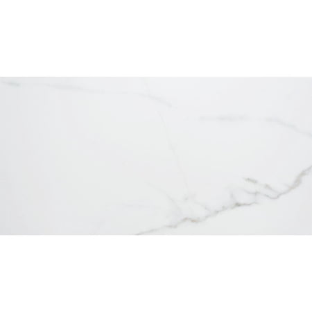 The Tile Life Chronos White/Gold Matte Porcelain Floor & Wall Tile, 13 x 26 in, 5-Piece