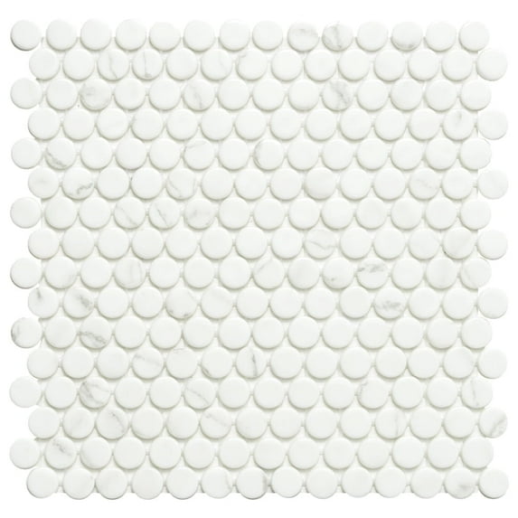 The Tile Life Eterna Penny Venato Glass Mosaic Floor & Wall Tile, 12 x 12 in, 1-Piece