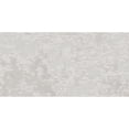 thumbnail image 1 of The Tile Life Foundry Concrete 24" x 48" Ceniza Matte Porcelain Floor and Wall Tile Case of 2, 1 of 10