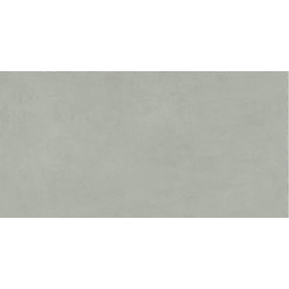 The Tile Life Foundry Concrete 24" x 48" Salvia Matte Porcelain Floor and Wall Tile Case of 2