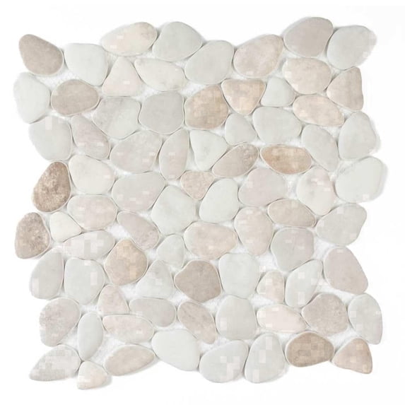 The Tile Life Huron Rock 12" x 12" Earth Mix Matte Glass Pebble Mosaic Floor and Wall Tile (1 Sq. ft./Case)