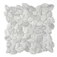 thumbnail image 1 of The Tile Life Huron Rock 12" x 12" Glacier Matte Glass Pebble Mosaic Floor and Wall Tile 1 Sheet, 1 of 12