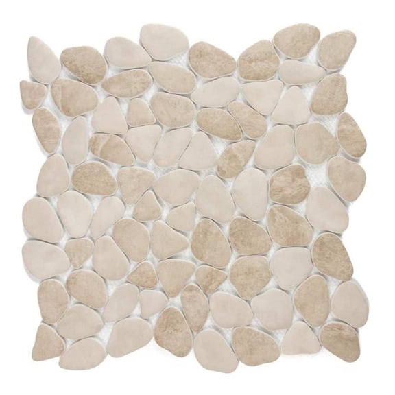 The Tile Life Huron Rock Sand Stone Matte Glass Mosaic Floor and Wall Tile 12x12 in 1-Piece