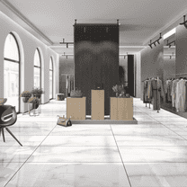 The Tile Life Monarch Bianco Polished Porcelain Floor & Wall Tile, 24 x 48 in, 2-Piece