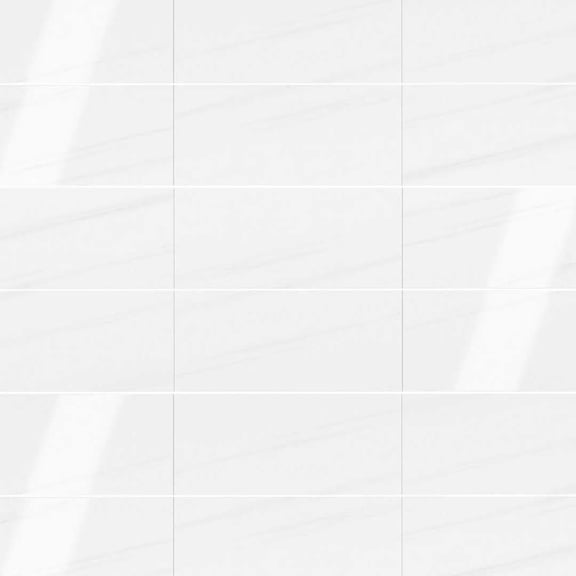 The Tile Life Piave Bianco 4" x 4" Glossy Ceramic Tile Sample