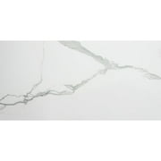 The Tile Life Calacatta Porcelain Tile Sample - 4 x 4 in. - Glossy - 1-Piece - Floor, Wall - Large Format