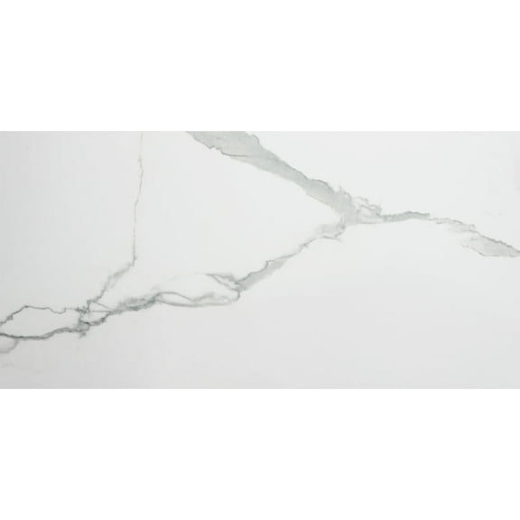 The Tile Life Calacatta Porcelain Tile Sample - 4 x 4 in. - Glossy - 1-Piece - Floor, Wall - Large Format