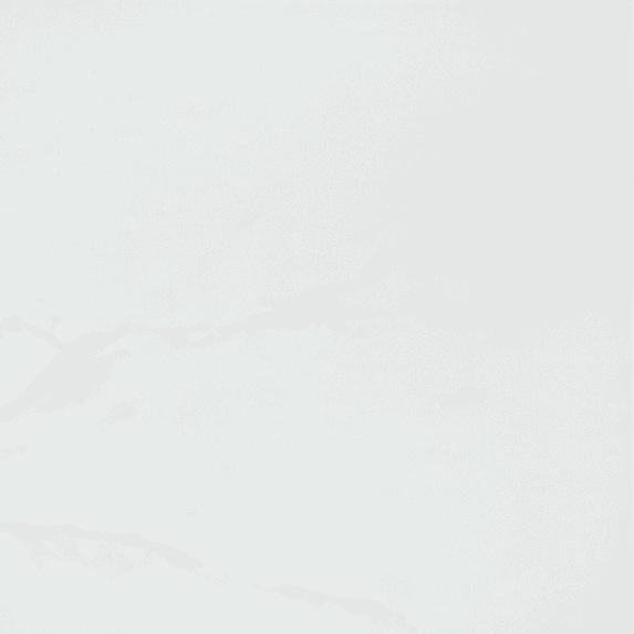 The Tile Life Providence White Porcelain Tile Sample - 4 x 4 in. - Matte - 1-Piece - Floor, Wall, Backsplash