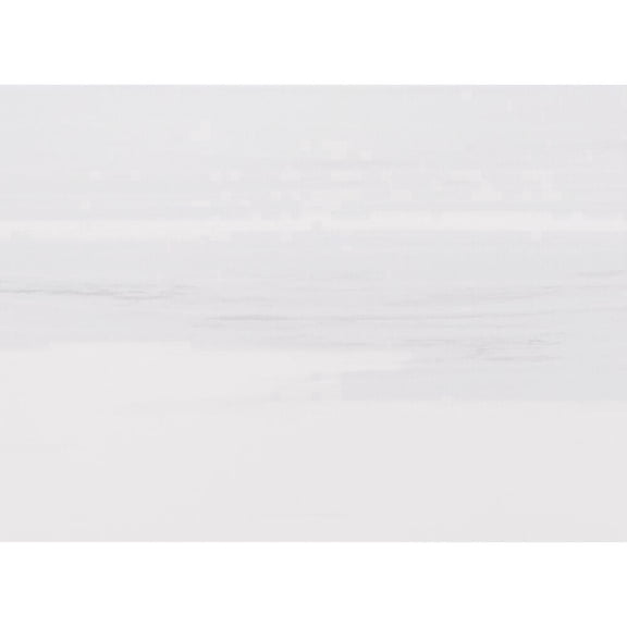 The Tile Life Soho Blanco Matte Marble Look Ceramic Wall Tile 4x4 in Sample 1-Piece