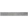 thumbnail image 1 of The Tile Life Wilds Silver Lappato Porcelain Bullnose Tile, 3 x 24 in, 1-Piece, 1 of 7