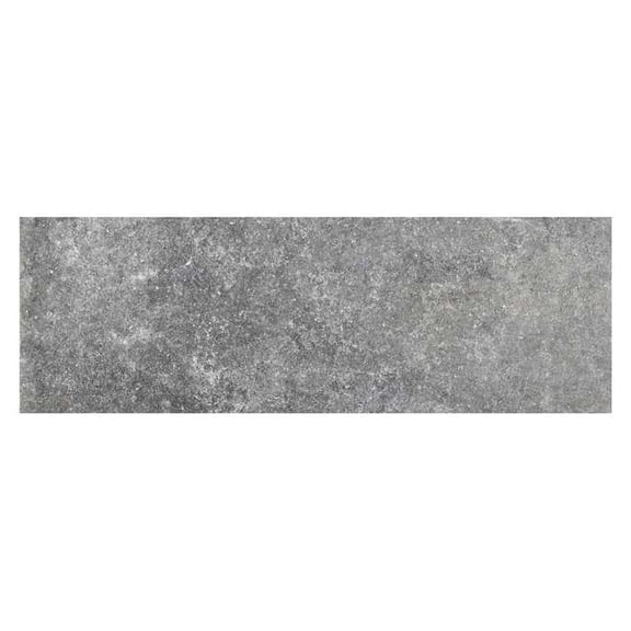 The Tile Life Wilds Silver Matte Porcelain Floor and Wall Tile 4x4 in Sample 1-Piece