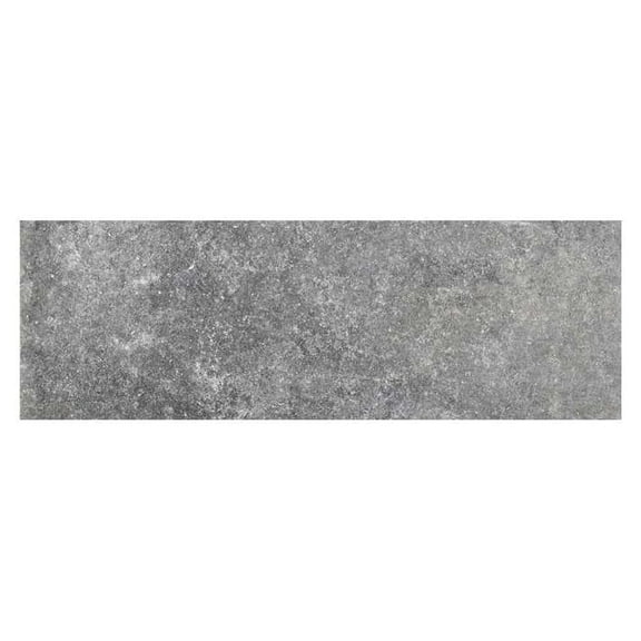 The Tile Life Wilds Silver Matte Porcelain Floor and Wall Tile 4x12 in 19-Piece