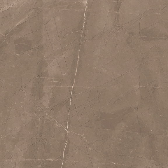 The Tile Life Windsor 12" x 12" Amani Bronze Matte Porcelain Floor and Wall Tile, Case (16 Tiles)