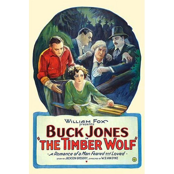 The Timber Wolf-Fine Art Canvas Print (20" x 30")