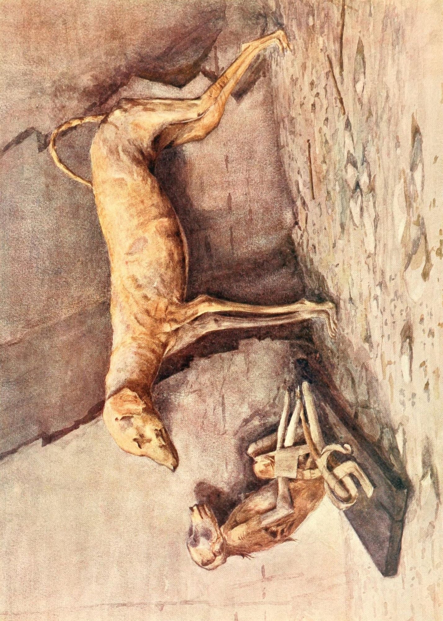 The Tomb of Siptah 1908 Dog & monkey from tomb no50 Canvas Art - Ernest Harold Jones (24 x 36)