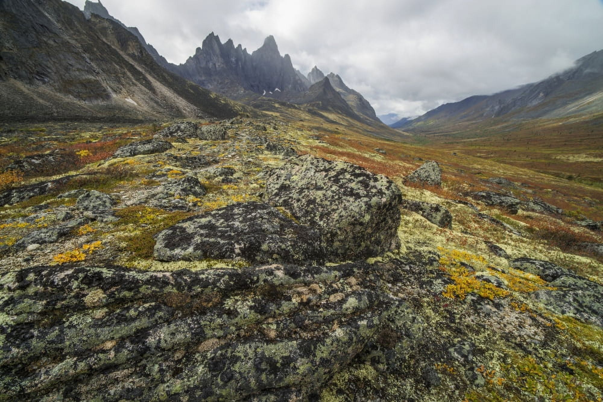 The Tombstone Valley in autumn colours with Tombstone Mountain rising
