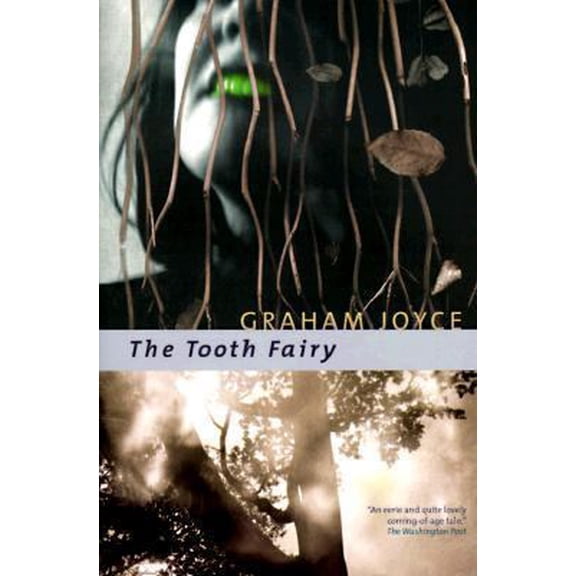 Pre-Owned The Tooth Fairy (Paperback) 0312868332 9780312868338