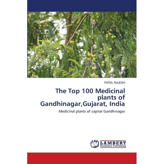 The Top 100 Medicinal plants of Gandhinagar, Gujarat, India (Paperback)