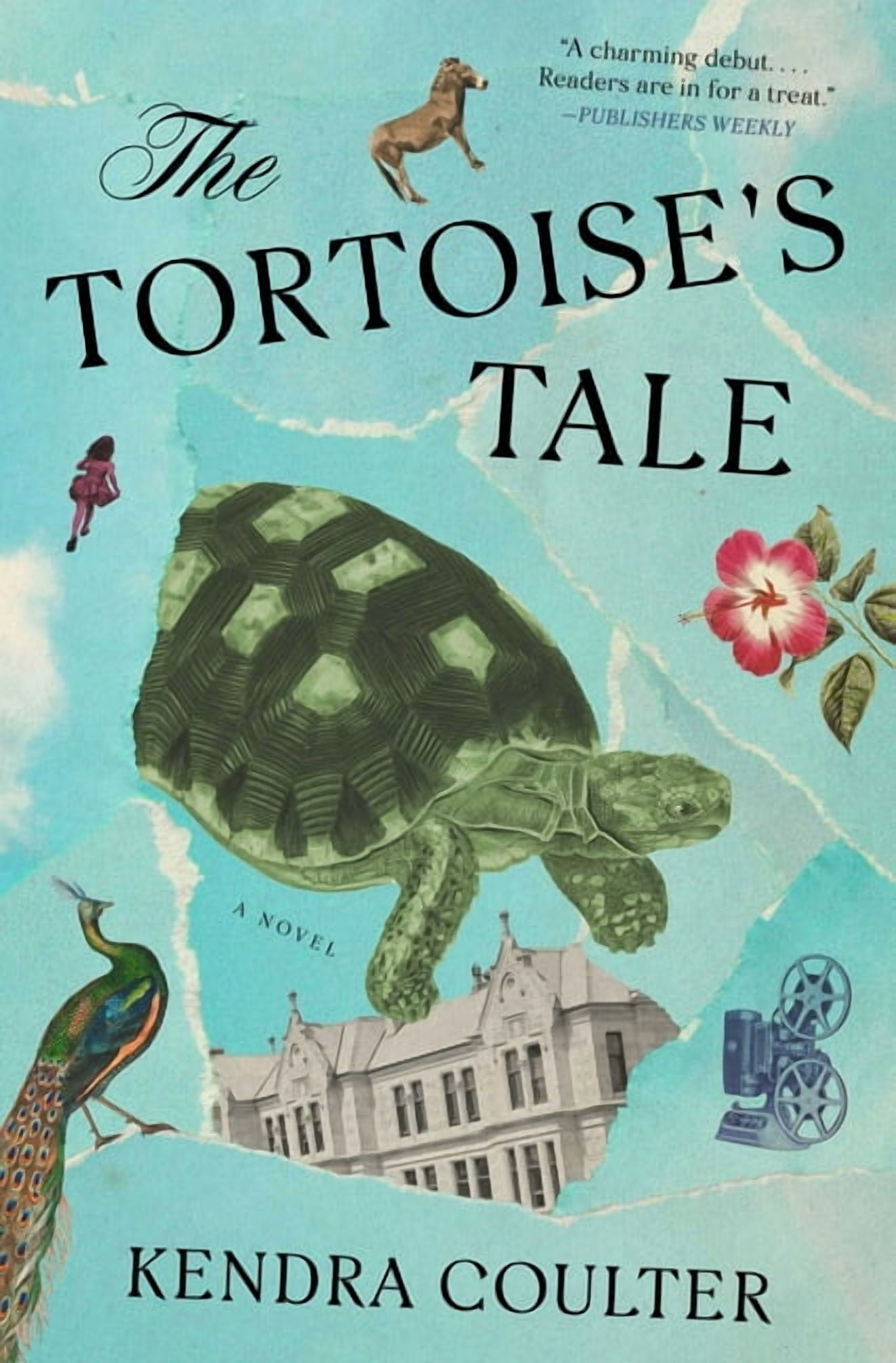 The Tortoise's Tale, (Paperback)