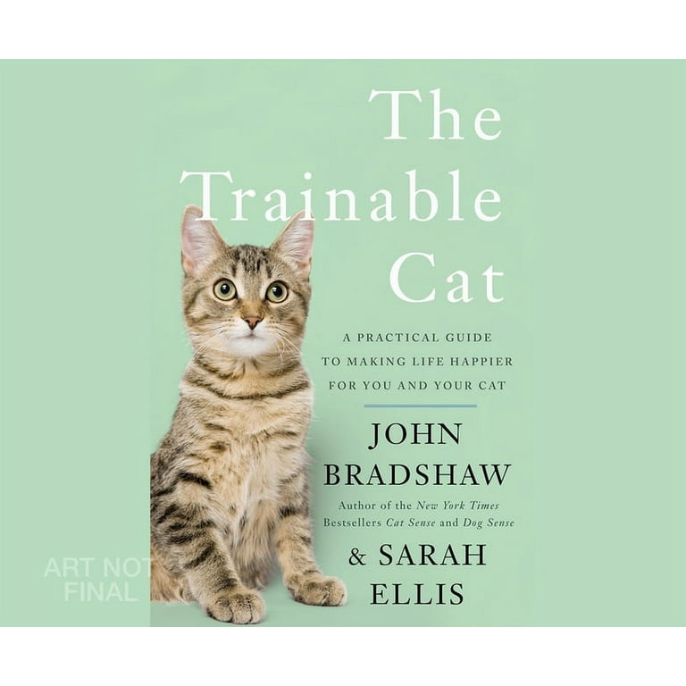 The trainable best sale cat