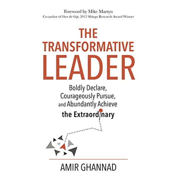 Pre-Owned The Transformative Leader - Boldly Declare, Courageously Pursue, and Abundantly Achieve the Extraordinary (Paperback) 0996774106 9780996774109