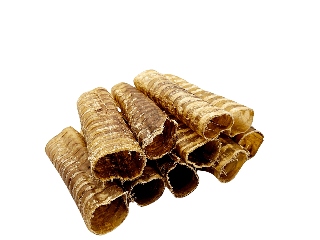 The Treat Shack 6-in Whole Beef Trachea Tubes Natural Dog Chew Treats, 20CT