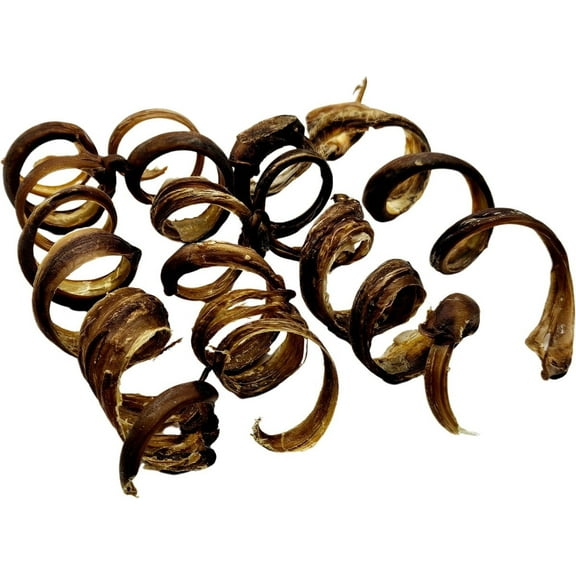 The Treat Shack 8-in Pork Pizzle Springs Natural Dog Chew Treats, 6CT