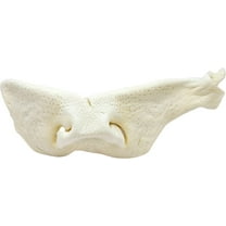 The Treat Shack 8 to 9-in Beef Snouts Natural Dog Chew Treats, Jumbo, 3CT