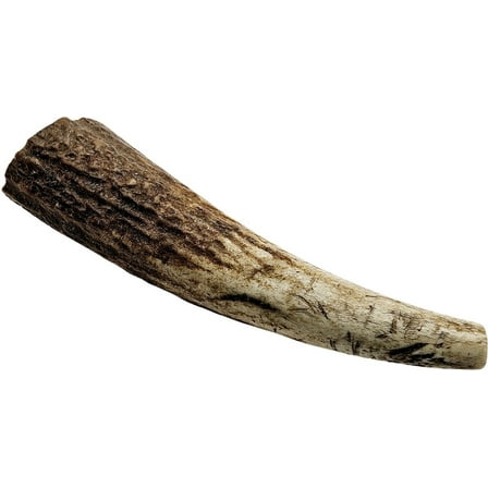 The Treat Shack Whole Naturally Shed 4 to 5-in Elk Antler Dog Treats, Small, 1CT