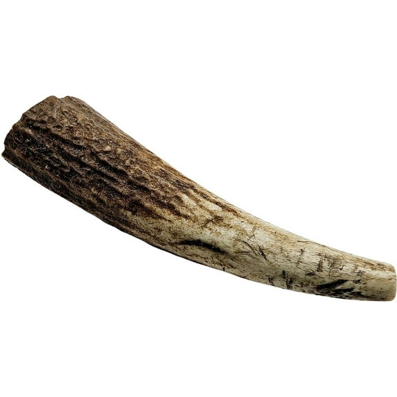 The Treat Shack Whole Naturally Shed 4 to 5-in Elk Antler Dog Treats, Small, 1CT