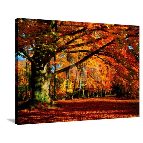 The Tree, Botanical Scenic Seasons Stretched Canvas Wall Art by Philippe SainteLaudy Sold by ArtCom
